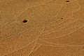 Sand Patterns 11-10-_0468