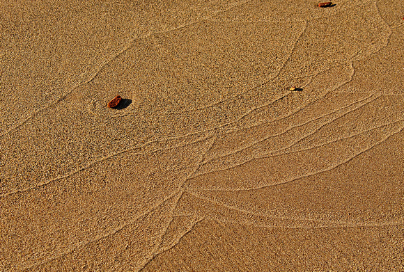 Sand Patterns 11-10-_0468