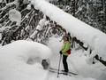 Swedetown Ski Trails 15-1-_2680