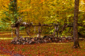 Fall Colors 12-9-_1408