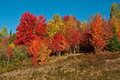 Fall Colors 12-9-_1409