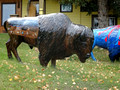 Buffalo Statue Custer South Dakota 22-9P-_0127