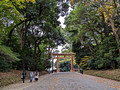 Meiji Jingu Shrine  complex Tokyo 22-12L-_4975
