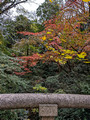 Meiji Jingu Shrine complex Tokyo 22-12L-_4967
