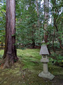Nonomiya-jinja Shrine Kyoto Japan 22-12L-_4557