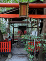 Nonomiya-jinja Shrine Kyoto Japan 22-12L-_4560