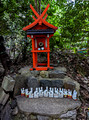 Nonomiya-jinja Shrine Kyoto Japan 22-12L-_4561
