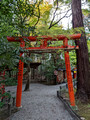 Nonomiya-jinja Shrine Kyoto Japan 22-12L-_4565