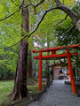 Nonomiya-jinja Shrine Kyoto Japan 22-12L-_4564