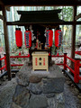 Nonomiya-jinja Shrine Kyoto Japan 22-12P-_0450