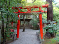 Nonomiya-jinja Shrine Kyoto Japan 22-12P-_0453