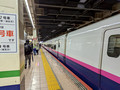 Shinkansen Train Omiya Station Tokyo 22-12P-_5189