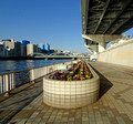 Sumida River Walk Sumida City, Tokyo 22-12P-_0195