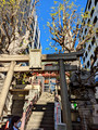 Tanjo Hachiman Shrine Shinagawa City Tokyo 22-12L-_4273