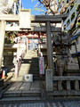 Tanjo Hachiman Shrine Shinagawa City Tokyo 22-12P-_0482