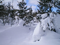 Swedetown Ski Trails 14-3-_0010