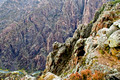 Black Canyon of the Gunnison 07-109- 237