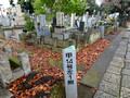 Yanaka Cemetery  Yanesen Tokyo, Japan  22-12P-_1376