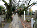 Yanaka Cemetery  Yanesen Tokyo, Japan  22-12P-_1377
