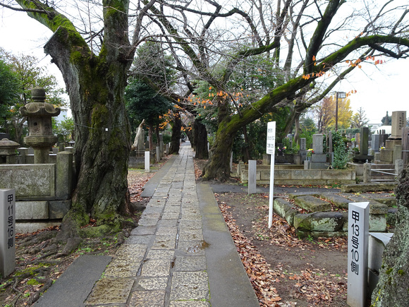 Yanaka Cemetery  Yanesen Tokyo, Japan  22-12P-_1377