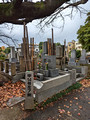 Yanaka Cemetery  Yanesen Tokyo, Japan 22-12L-_3618