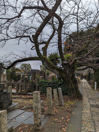 Yanaka Cemetery  Yanesen Tokyo, Japan 22-12L-_3620