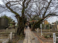 Yanaka Cemetery  Yanesen Tokyo, Japan 22-12L-_3624