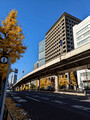 Street Scene Chiyoda City, Tokyo, Japan  22-12L-_3161