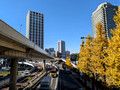 Street Scene Chiyoda City, Tokyo, Japan  22-12L-_3163