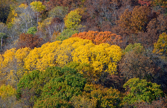 Perrot State Park 15-10-_4634