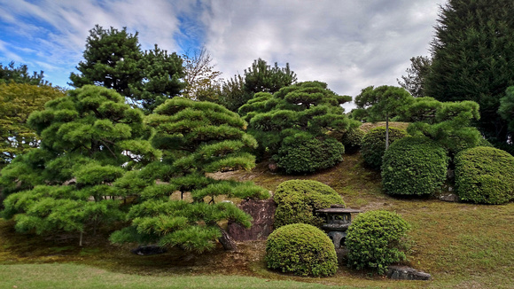 Nijo Castle Kyoto, Japan 15-9-_2430