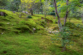 Sogenchi Garden at Tenryuji Temple Arashiyama Japan 15-9-_0817