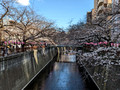 Meguro River Cherry Blossoms Promenade Tokyo, Japan 23-3L-_5101