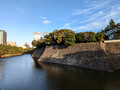 Chidorigafuchi Park Tokyo, Japan 23-3L-_5115