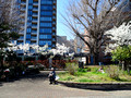 Ueno Park Tokyo, Japan 23-3P-_2988