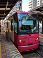Waseda Station Tokyo Sakura Tram Tokyo, Japan 23-3L-_5269