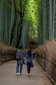 Bamboo Grove Arashiyama Japan Arashiyama Japan 15-9-_0838