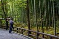 Sogenchi Garden at Tenryuji Temple Arashiyama Japan 15-9-_0775