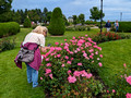 Linda Duluth Rose Garden 23-7P-_0098