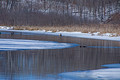 River Otter Ice Age Trail Hemlock Creek 21-3-00223