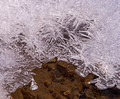 Ice Formations Paradise Valley 17-3-0075