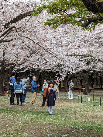 Yoyogi Park, Tokyo 23-3L-_4876