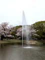 Yoyogi Park, Tokyo 23-3L-_4888