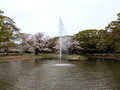 Yoyogi Park, Tokyo 23-3L-_4893