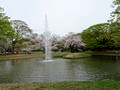 Yoyogi Park, Tokyo 23-3P-_2713