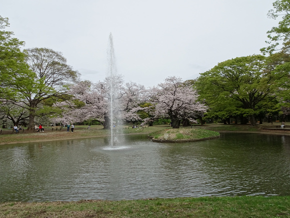 Yoyogi Park, Tokyo 23-3P-_2713