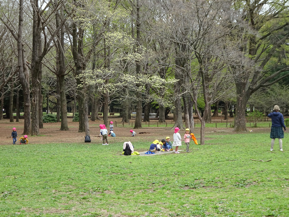 Yoyogi Park, Tokyo2 3-3P-_2724