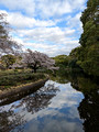 Kitanomaru Park Tokyo, Japan 23-3L-_4278