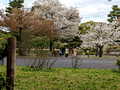 East Gardens of the Imperial Palace Tokyo, Japan 23-3P-_1548