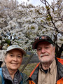 Linda and Phil East Gardens of the Imperial Palace Tokyo, Japan 23-3L-_4267